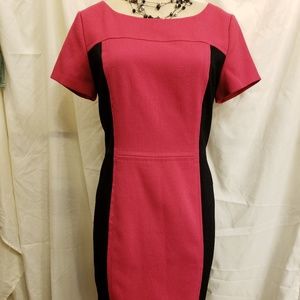 Jones New York fuscia slimming dress